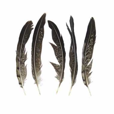 Lady amherst fazant veren 13 cm 5 stuks