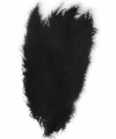 Zwarte spadonis sierveer 50 cm